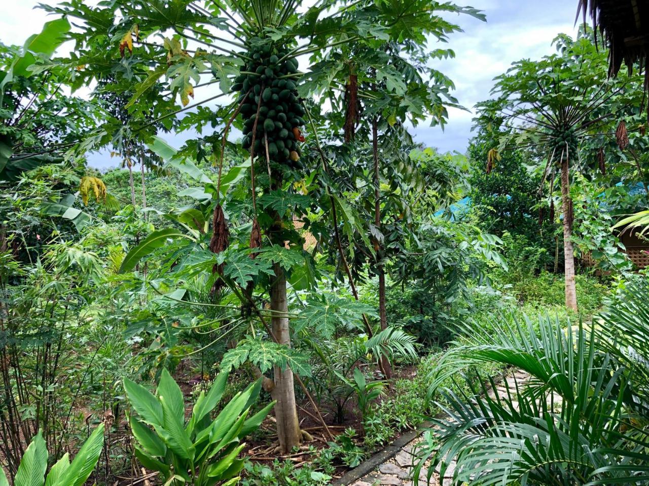 House @Bohol Garden Homes Panglao Exterior foto